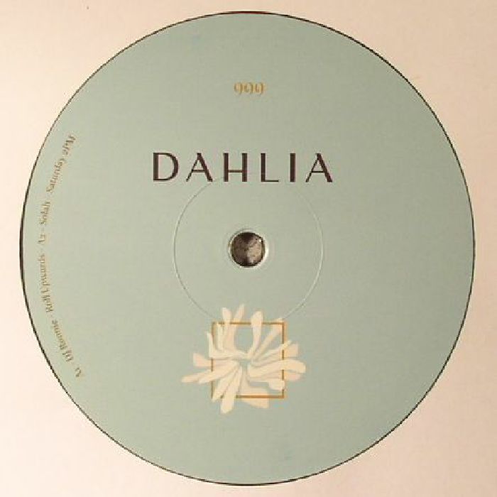 DJ Ronnie | Solah | Type X DAHLIA 999