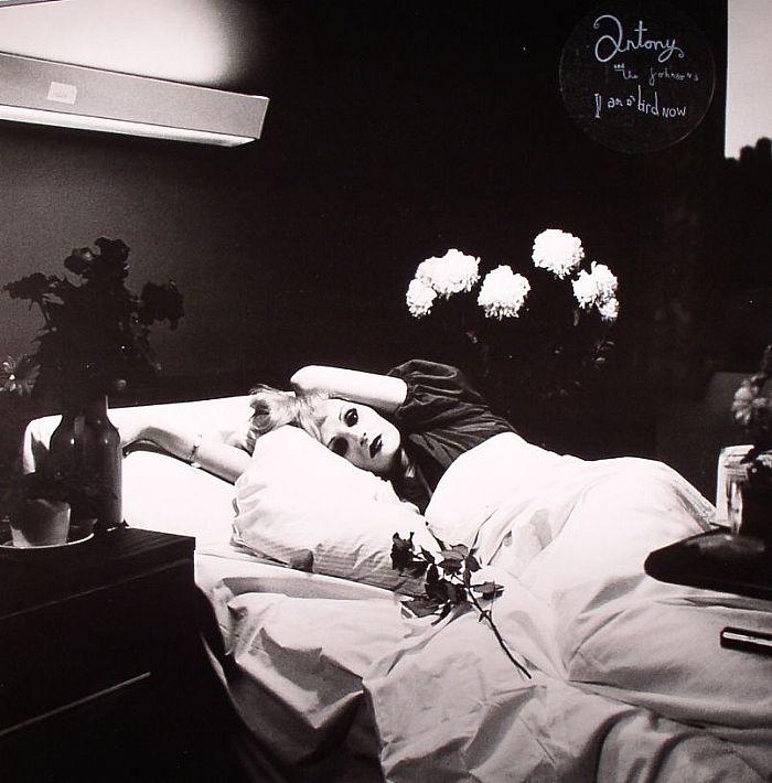 Antony and The Johnsons – I Am A Bird Now vinyl cover