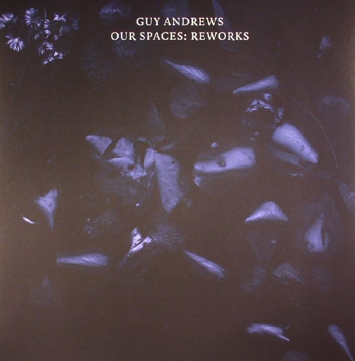 Guy Andrews Our Spaces: Reworks