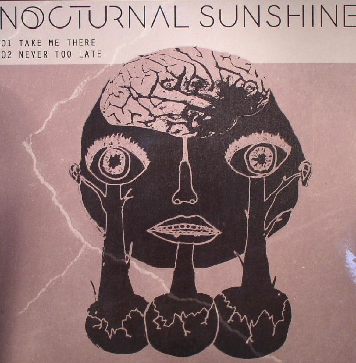 Nocturnal Sunshine Take Me There (Record Store Day 2015)