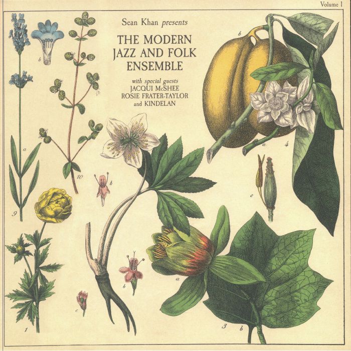 The Modern Jazz & Folk Ensemble Vinyl