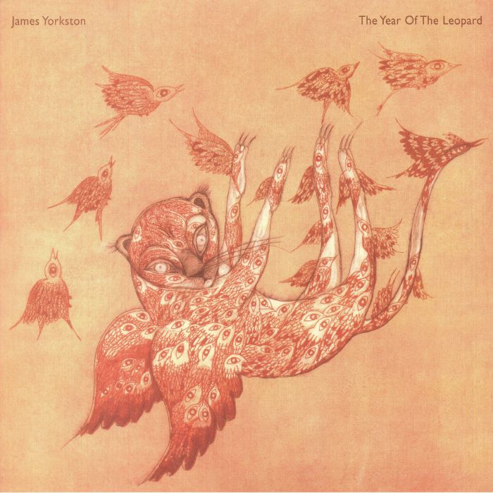 James Yorkston The Year Of The Leopard