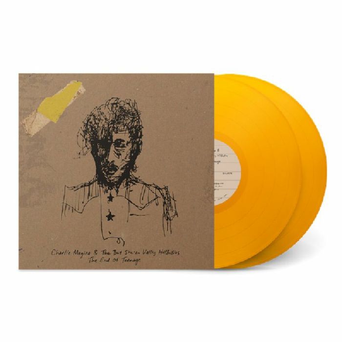 Charlie Megira – End Of Teenage vinyl cover