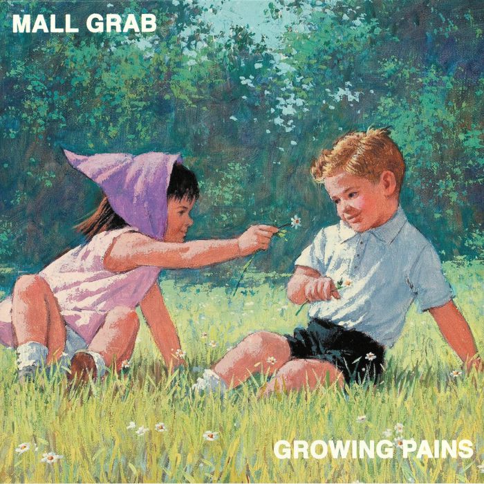 Mall Grab Growing Pains