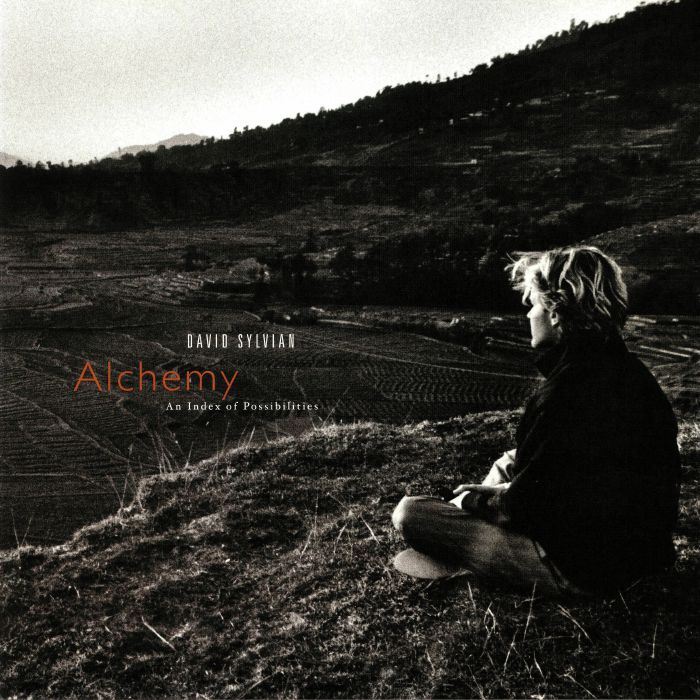 David Sylvian Alchemy: An Index Of Possibilities