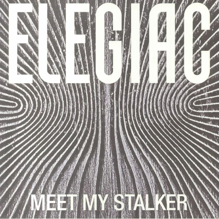 Elegiac Meet My Stalker