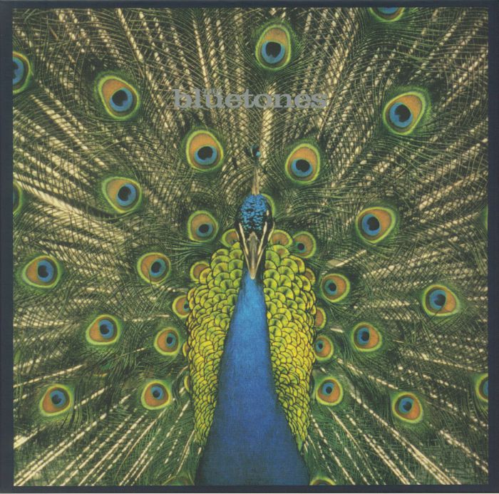 The Bluetones Expecting To Fly (25th Anniversary Deluxe Edition)