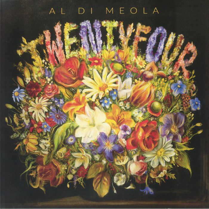 Al Di Meola Twentyfour