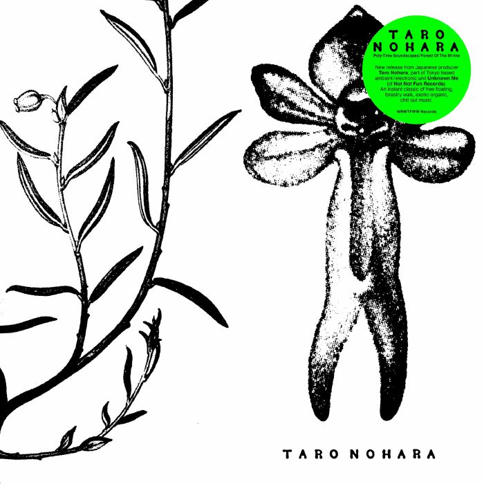 Taro Nohara Poly Time Soundscapes/Forest Of The Shrine