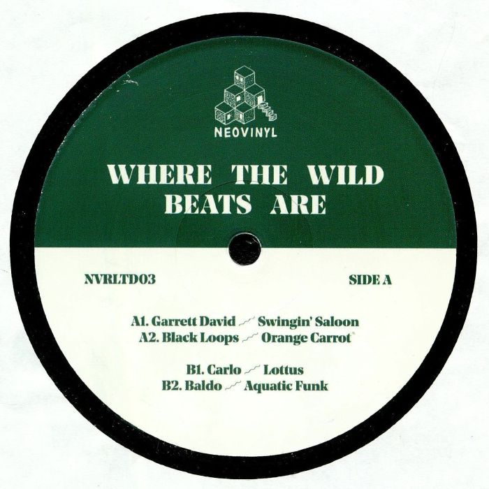 Garrett David | Black Loops | Carlo | Baldo Where The Wild Beats Are
