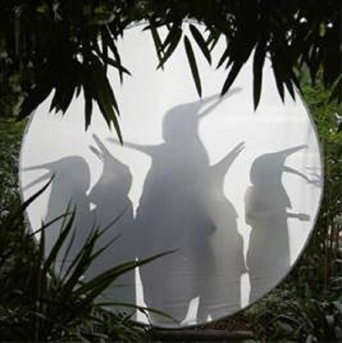 Penguin Cafe – Rain Before Seven vinyl cover