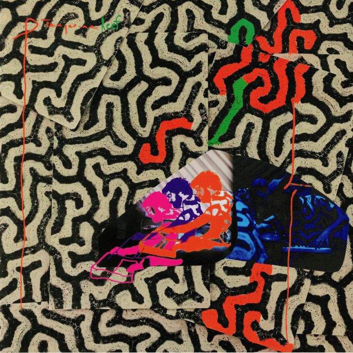 Animal Collective – Tangerine Reef vinyl cover