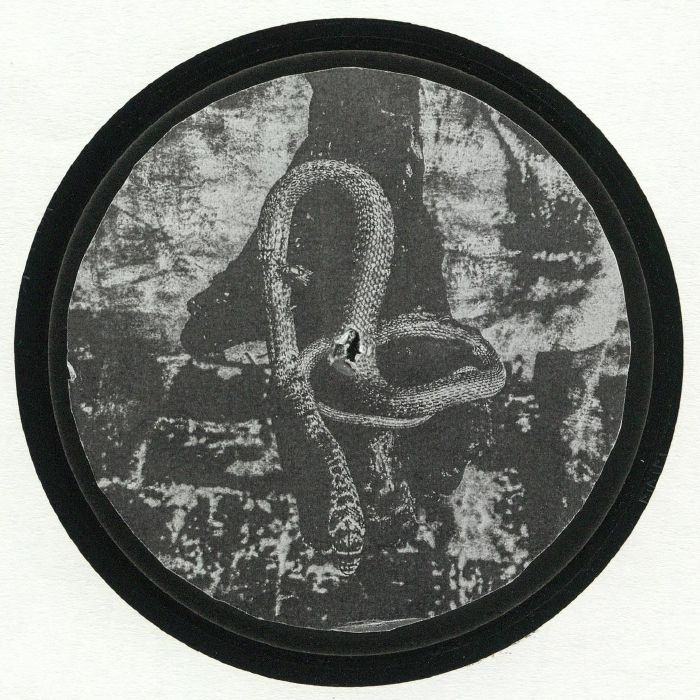 Sciatic Vinyl