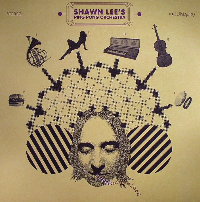 Shawn Lees Pong Pong Orchestra Voices and Choices