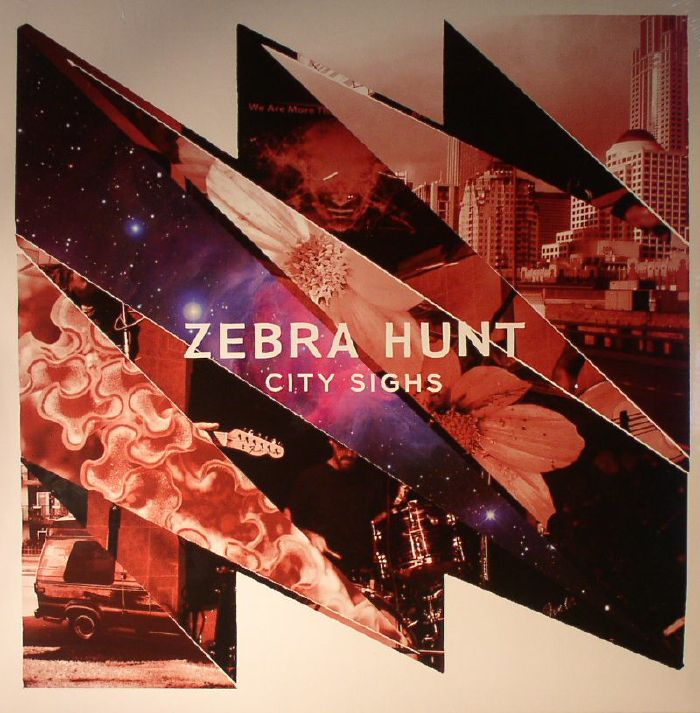 Zebra Hunt City Sighs