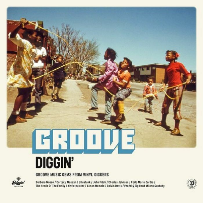 Various Artists Groove Diggin