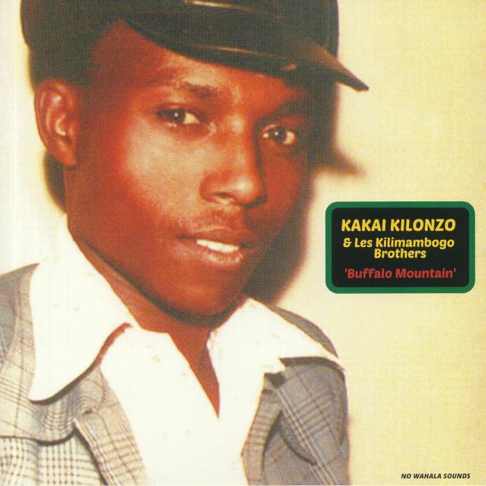Kakai Kilonzo Vinyl