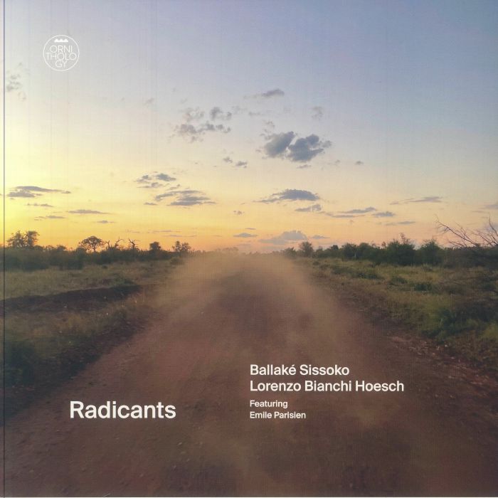 Ballake Sissoko | Lorenzo Bianchi Hoesch Radicants