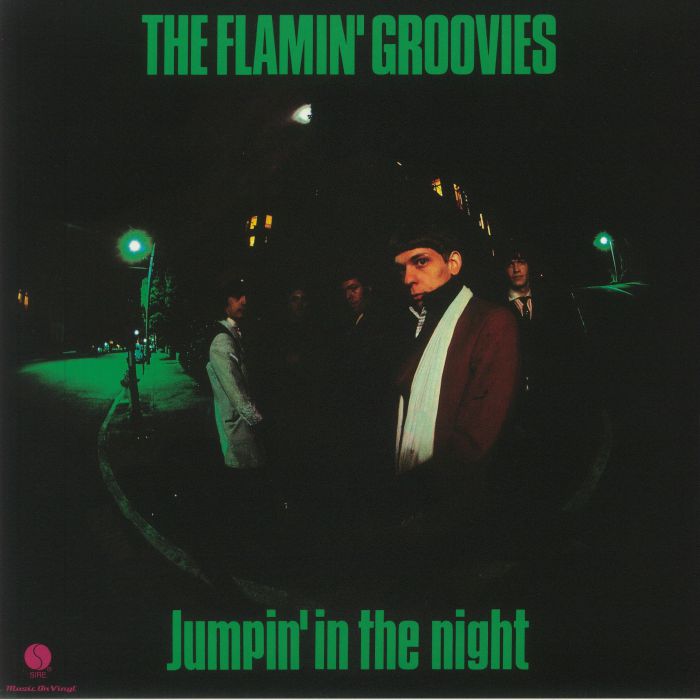 The Flamin Groovies Vinyl