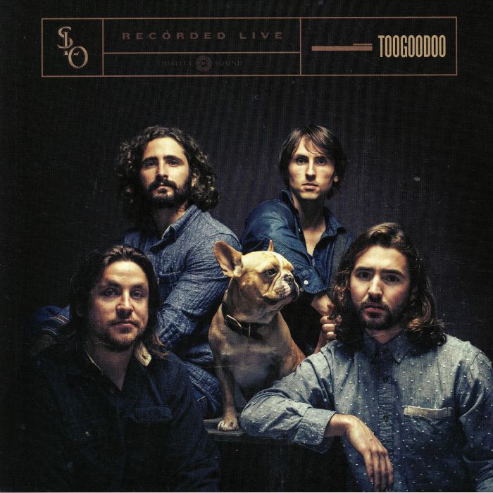 Stop Light Observations Vinyl