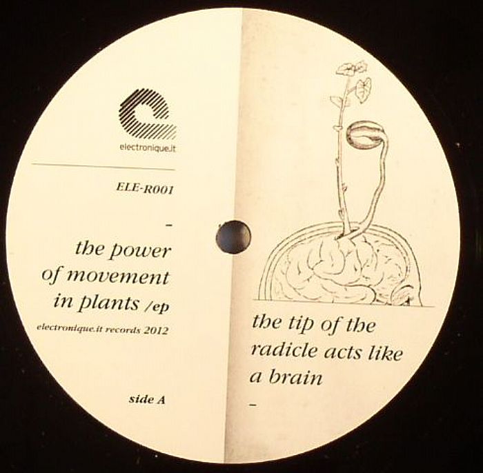 Commodity Place | Passenger | Cosmic Metal Mother The Power Of Movement In Plants EP