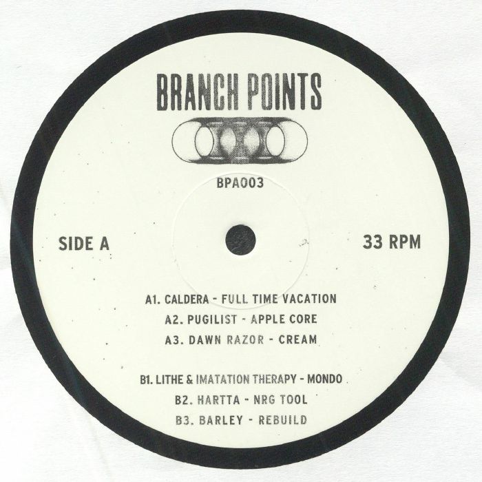 Branch Points Vinyl