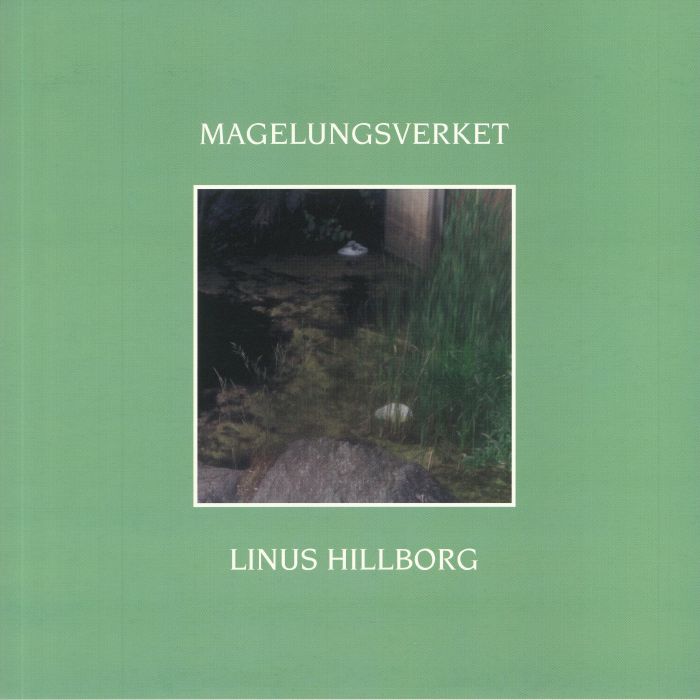 Linus Hillborg Magelungsverket