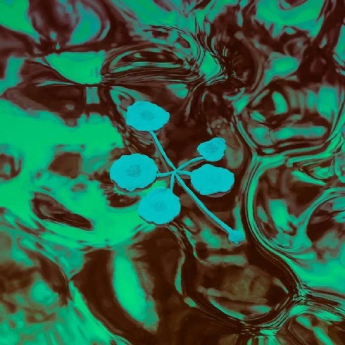 Not Applicable Recordings Vinyl