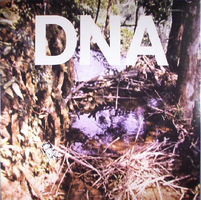 Dna A Taste Of DNA