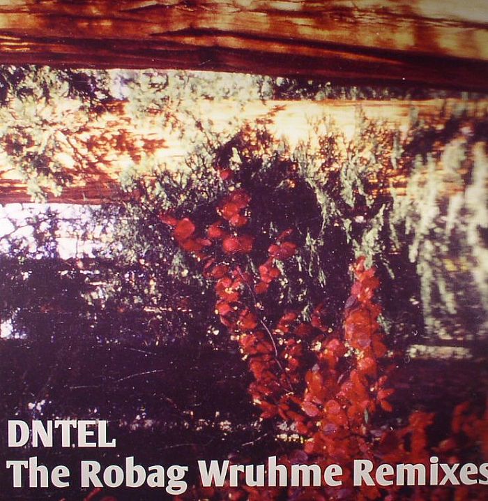 Dntel The Robag Wruhme Remixes