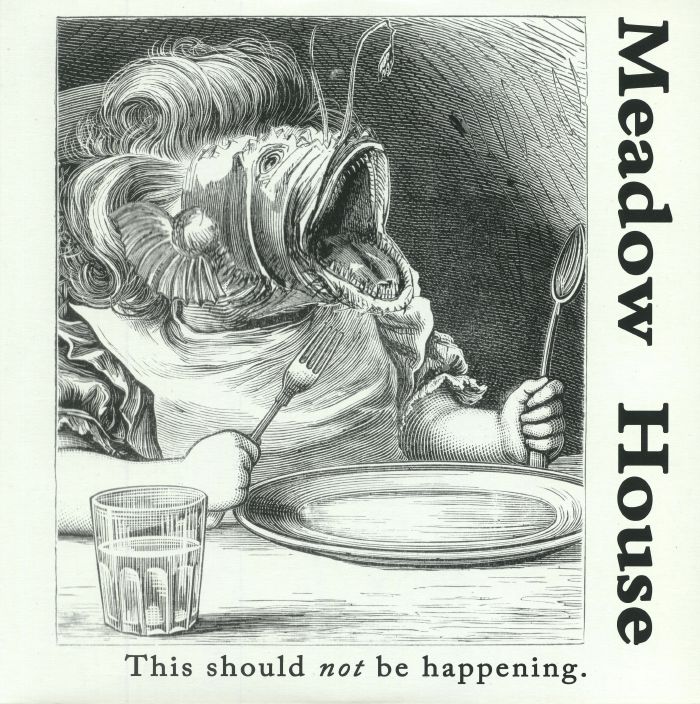 Meadow House Vinyl