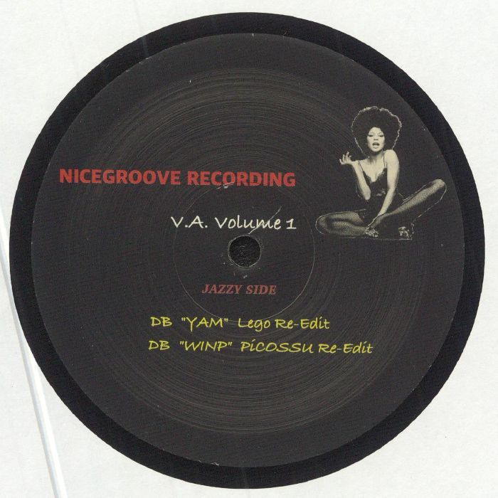 Nicegroove Recording Vinyl