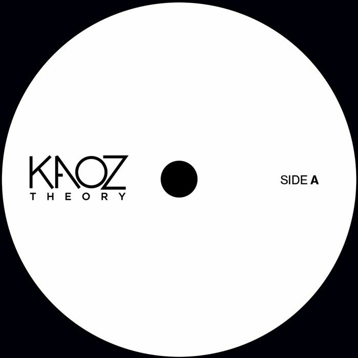 Kaoz Theory Vinyl