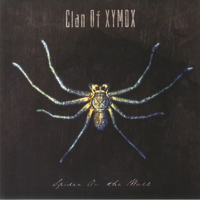 Clan Of Xymox Spider On The Wall