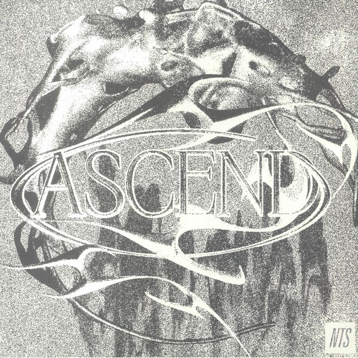 Various Artists Ascend