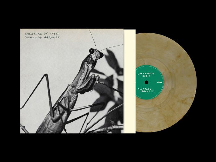 Courtney Barnett – Creature Of Habit vinyl cover