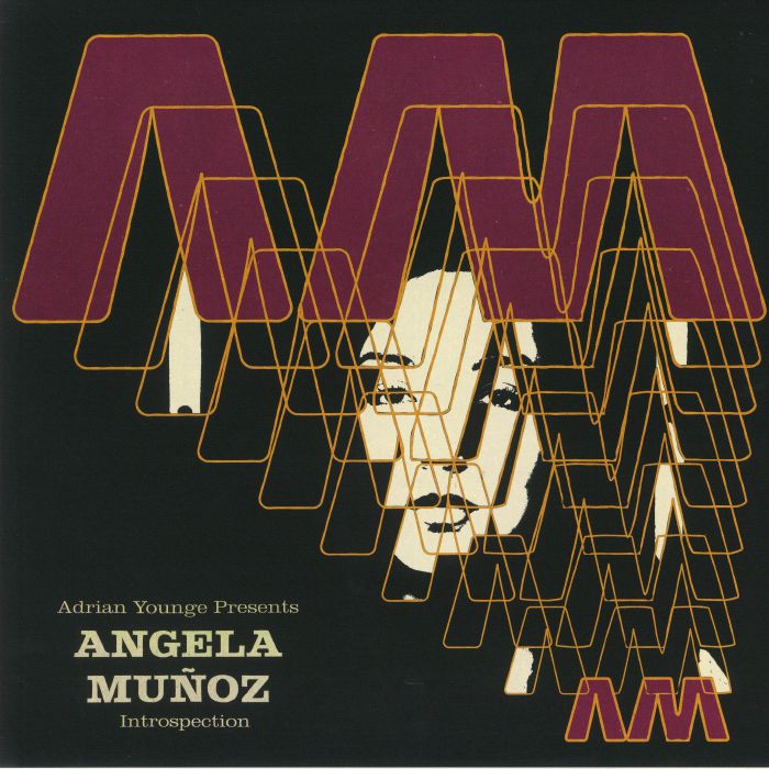 Angela Munoz Introspection