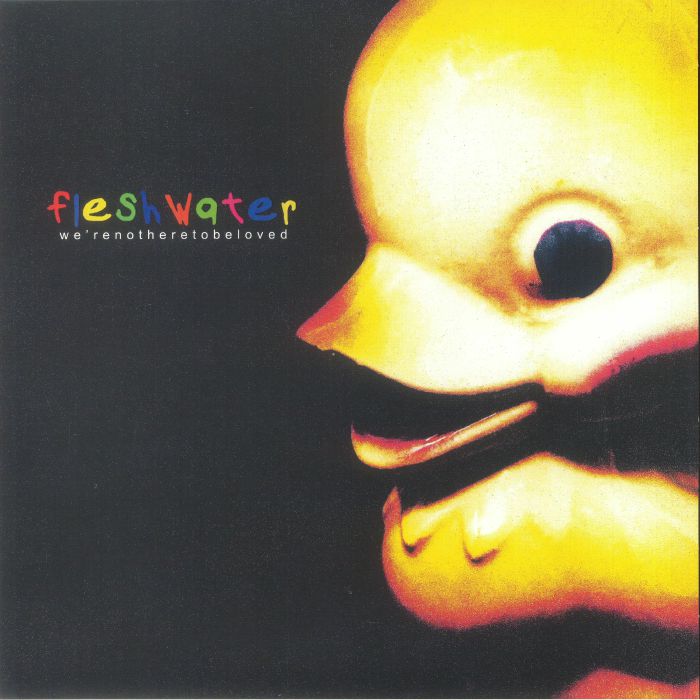 Fleshwater – Were Not Here To Be Loved vinyl cover