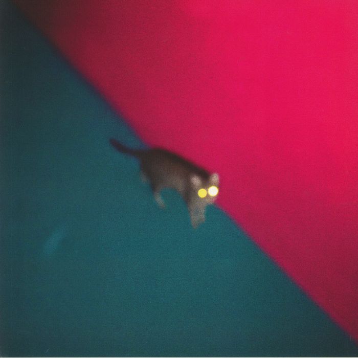 !!! Chk Chk Chk – Wallop vinyl cover