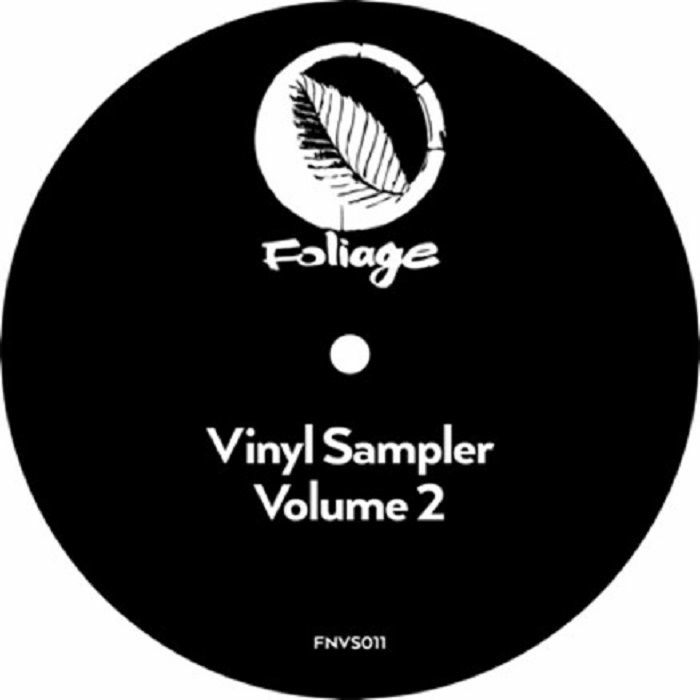 Thakzin | Ray T | Richard Earnshaw | Glass Slipper | Diephuis Foliage Records Vinyl Sampler 2