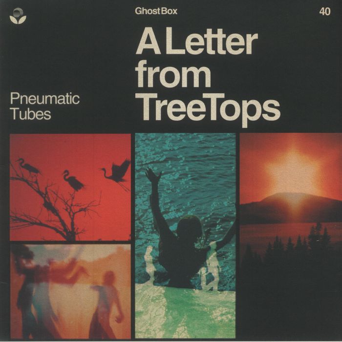 Pneumatic Tubes A Letter From Treetops