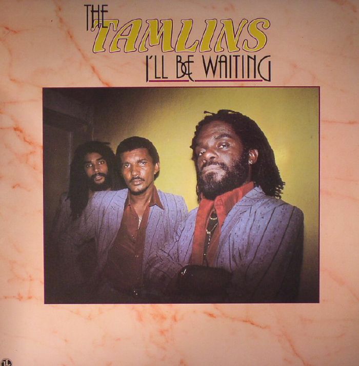 The Tamlins Ill Be Waiting (reissue)