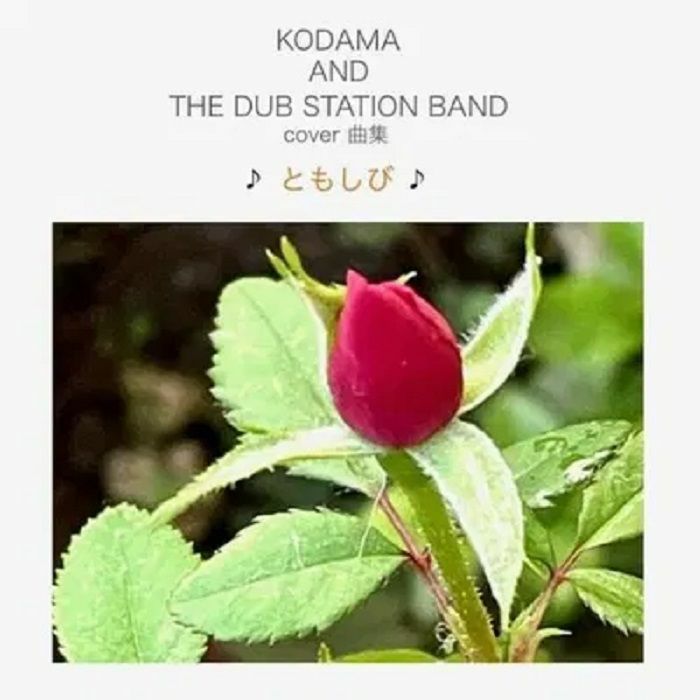 Kodama and The Dub Station Band Tomoshibi