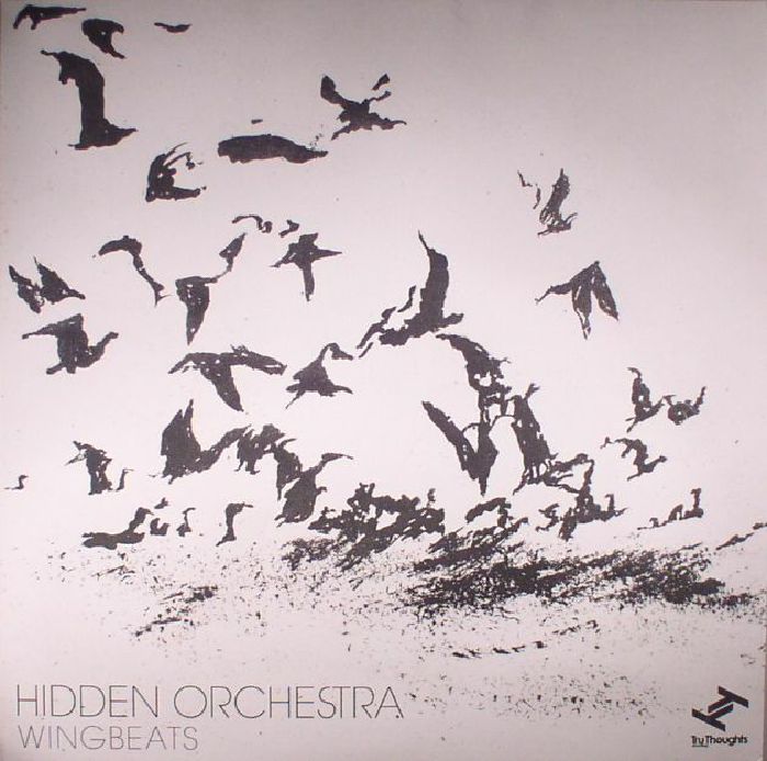 Hidden Orchestra Wingbeats