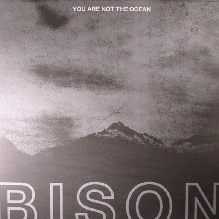 Bison You Are Not The Ocean You Are The Patient