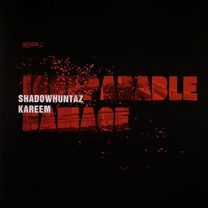 Shadowhuntaz Vinyl