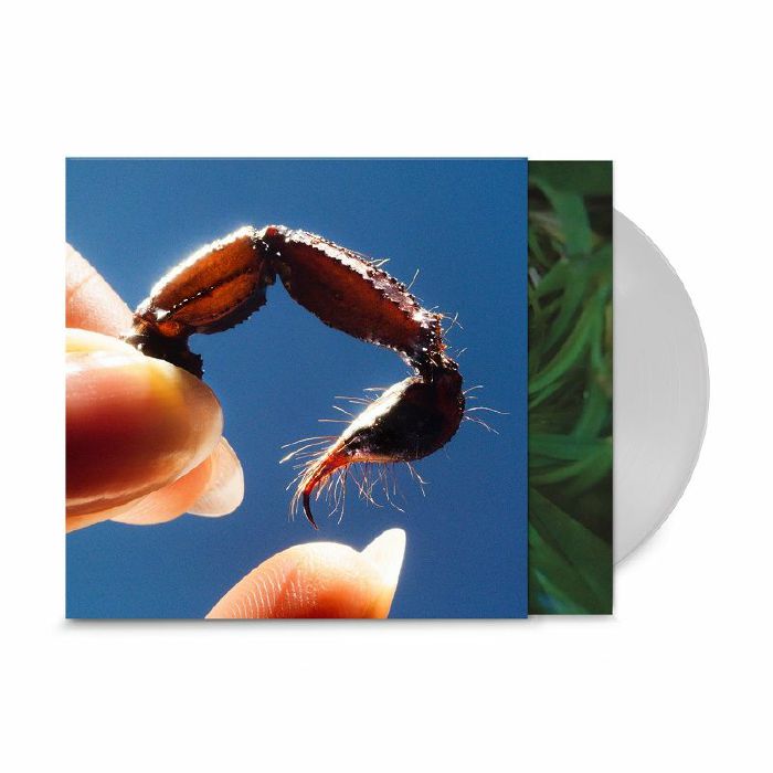 Squid – Cowards vinyl cover