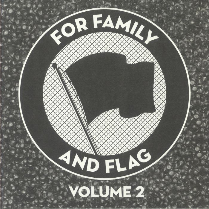 Various Artists For Family and Flag Volume 2