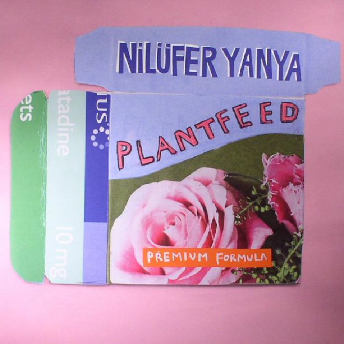 Nilufer Yanya Plant Feed