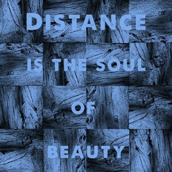 Michael J Sheehy Distance Is The Soul Of Beauty